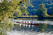 Rowing boat, coxed four, Herdecke, Ruhr Valley, Ruhr, Northrhine Westphalia, Germany