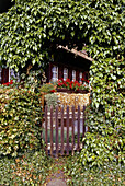 Typical house in the Black Forest, Todtnau, Black Forest, Baden Württemberg, Germany