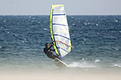 Windsurfer