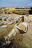 Overview on the city from the Mount of Olives cemetery. Jerusalem, Israel