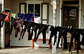 Amish drying linen. Pennsylvania, USA