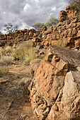 Kings Canyon, Watarrka National park. Northern Territory, Australia
