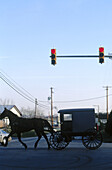 Horse-drawn buggy on the road. The Lancaster County Amish people. Pennsylvania. USA.