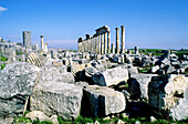 Ruins of the ancient roman city of Apamee. Syria