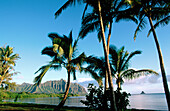 Kaneohe Bay. Oahu Island. Hawaii. USA