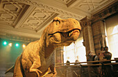 Tyrannosaurus Rex in the Natural History Museum. London. UK