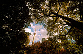 CN Tower visible through the trees in Clarence Square Park, on Spadina Street. Toronto. Ontario, Canada