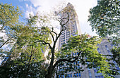 View of the Metropolitan Life Insurance Company building (700 feet - 213 meters) from Madison Square Park