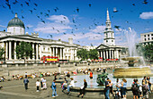 Trafalgar Square. London. UK