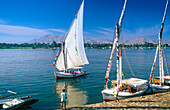 Sailboat in Luxor. Egypt