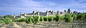 Vineyard. Carcasonne. Pyrenees-Orientales. France