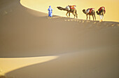 Camel train on Merzouga. Morocco