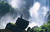 Iguazu waterfalls, Argentina