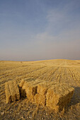 Mowed wheat field with straw bales at fore. Toledo province, Castilla-La Mancha, Spain
