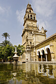 Patio de los Naranjos, courtyard and minaret tower of the Great Mosque. Córdoba. Andalusia, Spain