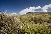 Mulhacén peak (3479 m), Sierra Nevada National Park. Andalusia, Spain