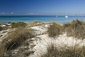 Es Trenc beach. Majorca, Balearic Islands. Spain