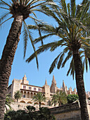 Cathedral and Almudaina palace. Palma de Mallorca. Majorca, Balearic Islands. Spain