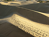 Sand dunes, Oasis Maspalomas, Gran Canaria, Canary Islands, Spain