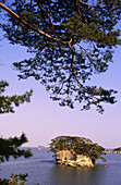 Fukuurajma island. Matsushima. North Honshu. Japan.