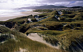 Cleft dunes at Mason Bay, Steward Island, New Zealand