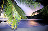 Sunset on a remote beach. American Virgin Islands