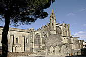 Saint-Nazaire cathedral in Carcassonne medieval fortified town. Aude, Languedoc-Roussillon, France