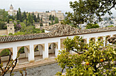 Gärten des Generalife, Alhambra. Granada. Spanien