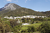 Sierra de Grazalema natural park and Benamahoma town. Cádiz province. Spain