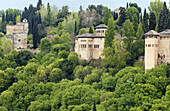 Alhambra. Granada. Spanien