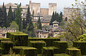 Alhambra. Granada. Spanien