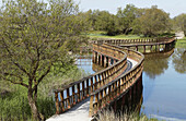 Tablas de Daimiel National Park. Ciudad Real province. Spain