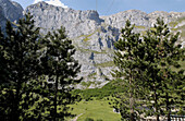 Picos de Europa National Park. Cantabria, Spain