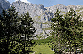 Nationalpark Picos de Europa. Kantabrien, Spanien