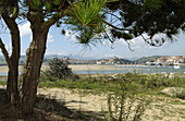 Ría de San Vicente. Parque Natural de Oyambre. San Vicente de la Barquera. Cantabria. Spain