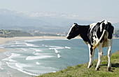 Playa de Meron. Parque Natural de Oyambre. San Vicente de la Barquera. Cantabria. Spain