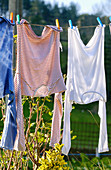 Clothesline. Guipúzcoa. Euskadi, Spain