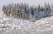 Sierra de Aitzkorri in winter. Guipúzcoa, Spain