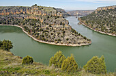 Hoces del Duratón Natural Park. Segovia province, Spain