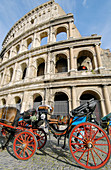 Colosseum. Rome. Italy