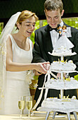 egrooms, Brides, Cake, Cakes, Caucasian, Caucasians, Color, Colour, Contemporary, Couple, Couples, Cu