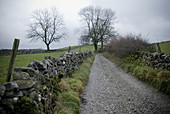 Dales National Park, Yorkshire, England, UK