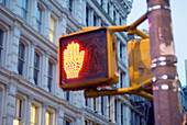 New York street signal. USA