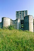 Ramparts ruins of the medieval castle. Loches. Val-de-Loire, Touraine. France