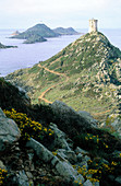 Iles Sanguinaires and Genoese watchtower. Corsica Island. France