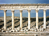 Ruins of colonnade along cardo (main street in ancient Roman cities). Apamea. Syria