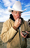 Cowboy taking a quid of tobacco to chew. Greybull. Wyoming. USA