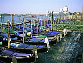 Gondolas at pier with Santa Maria della Salute church in background. Venice. Italy