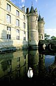 Chateau des Reaux Hotel. Touraine (Chateaux country). Val-de-Loire. France