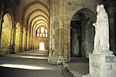 Fontenay Abbey, the church nave. Burgundy. France